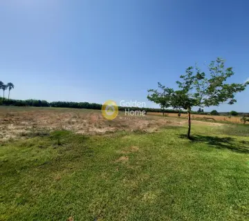 Professional Plot 14100m<sup>2</sup> for sale photo 8