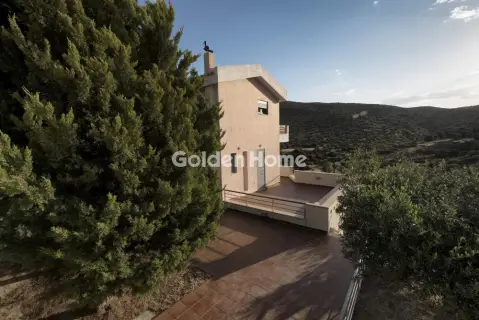 Residence complex 575m<sup>2</sup> for sale photo 4999872