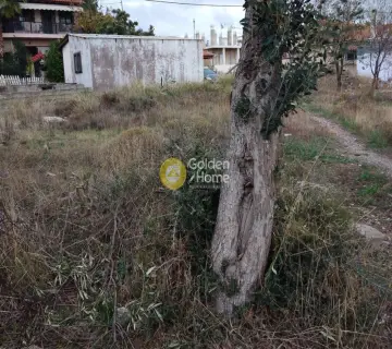 Οικιστικό 184τ.μ. προς πώληση φωτογραφία 3431866