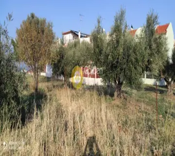 Οικιστικό 750τ.μ. προς πώληση φωτογραφία 3433021