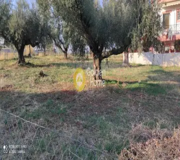 Οικιστικό 750τ.μ. προς πώληση φωτογραφία 3433027