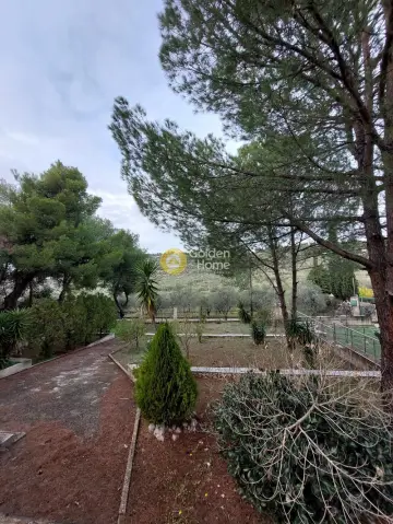 Μονοκατοικία 310τ.μ. προς πώληση φωτογραφία 5