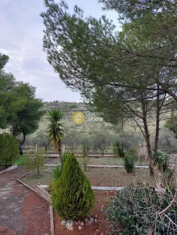 Μονοκατοικία 310τ.μ. προς πώληση φωτογραφία 11