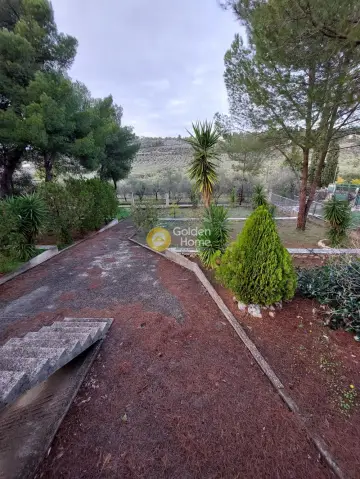 Μονοκατοικία 310τ.μ. προς πώληση φωτογραφία 24