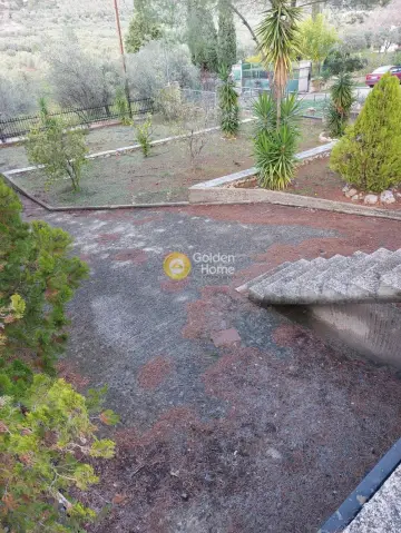 Μονοκατοικία 310τ.μ. προς πώληση φωτογραφία 27