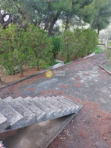 Μονοκατοικία 310τ.μ. προς πώληση φωτογραφία 30