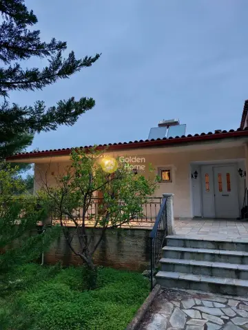 Μονοκατοικία 310τ.μ. προς πώληση φωτογραφία 55