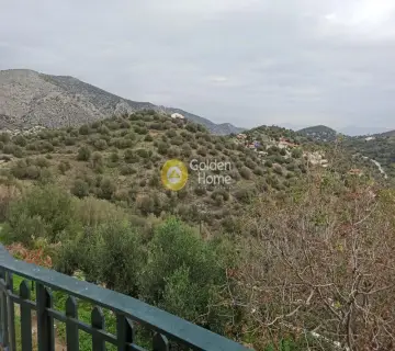 Μονοκατοικία 200τ.μ. προς πώληση φωτογραφία 3438394