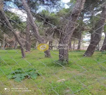 Professional Plot 1570m<sup>2</sup> for rent photo 3459740
