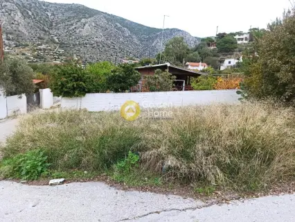 Residential 320m<sup>2</sup> for sale photo 3438566