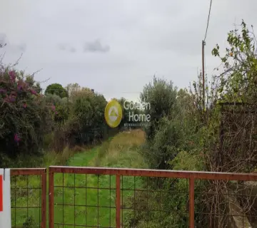 Residential 3000m<sup>2</sup> for sale photo 3439163