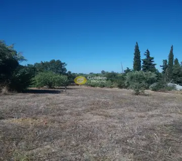 Residential 10000m<sup>2</sup> for sale photo 3440892