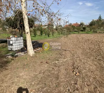 Area 10900m<sup>2</sup> for sale photo 6