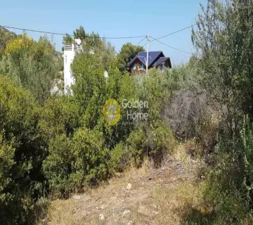 Residential 895m<sup>2</sup> for sale photo 3462107