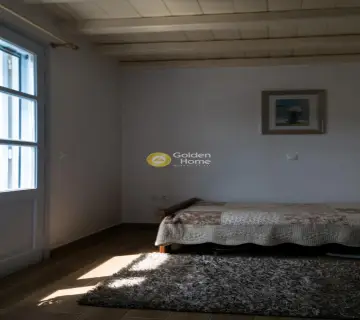 Independent Maisonette 350m<sup>2</sup> for sale photo 92