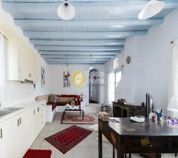 Independent Maisonette 350m<sup>2</sup> for sale photo 103