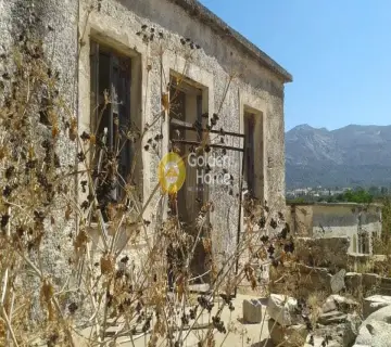 Golden Home Property Image