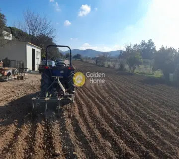 Golden Home Property Image