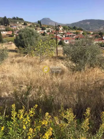 Residential 972m<sup>2</sup> for sale photo 2
