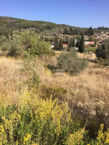 Residential 972m<sup>2</sup> for sale photo 4