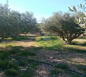 Residential 5218m<sup>2</sup> for sale photo 3463750