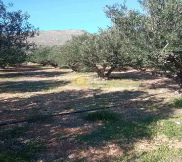 Residential 5218m<sup>2</sup> for sale photo 3463750