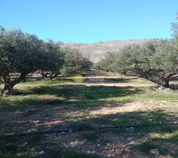 Residential 5218m<sup>2</sup> for sale photo 3463751