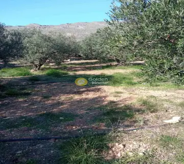 Residential 5218m<sup>2</sup> for sale photo 3463752