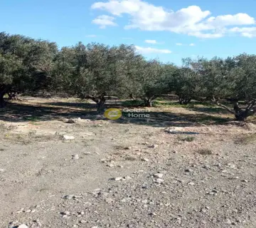 Residential 5218m<sup>2</sup> for sale photo 3463755