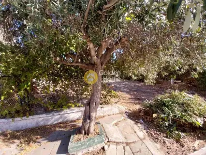 Οικιστικό 518τ.μ. προς πώληση φωτογραφία 7