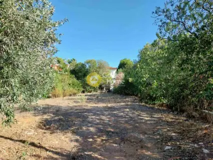 Οικιστικό 518τ.μ. προς πώληση φωτογραφία 6