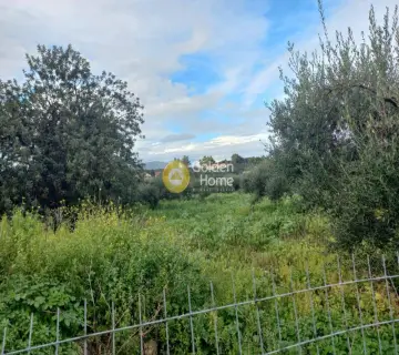 Residential 1722m<sup>2</sup> for sale photo 3467865
