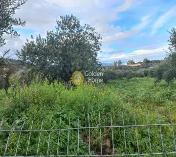 Residential 1722m<sup>2</sup> for sale photo 3467869