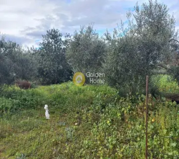 Residential 1722m<sup>2</sup> for sale photo 3467872