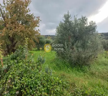 Residential 2000m<sup>2</sup> for sale photo 3467874