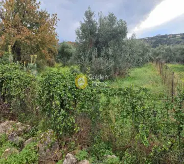Residential 2000m<sup>2</sup> for sale photo 3467874