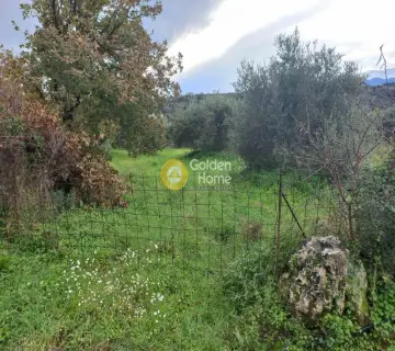 Residential 2000m<sup>2</sup> for sale photo 3467876