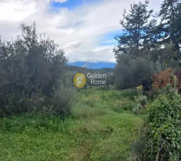Residential 2000m<sup>2</sup> for sale photo 3467876