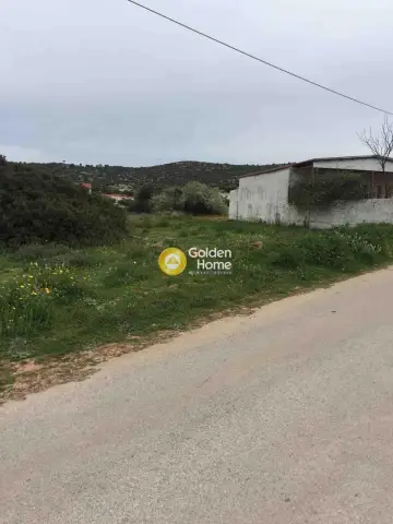 Professional Plot 250m<sup>2</sup> for sale photo 2