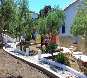 Golden Home Property Image