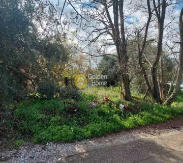 Parcel 2000m<sup>2</sup> for rent photo 3493989