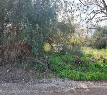 Parcel 2000m<sup>2</sup> for rent photo 3493990