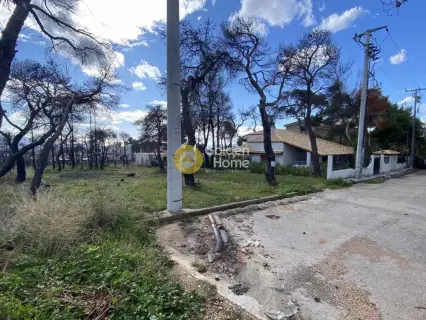 Residential 1006m<sup>2</sup> for sale photo 1