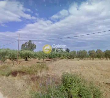 Parcel 8335m<sup>2</sup> for sale photo 3476001