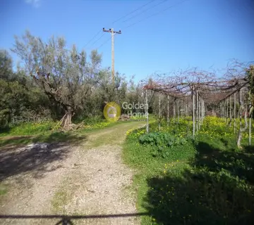 Parcel 3300m<sup>2</sup> for sale photo 3477977