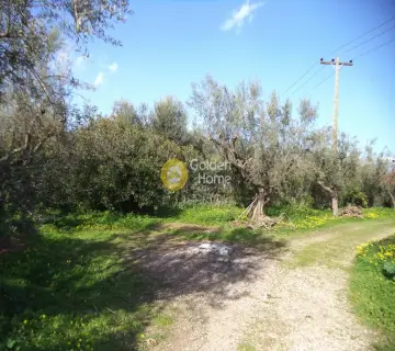 Parcel 3300m<sup>2</sup> for sale photo 3477977