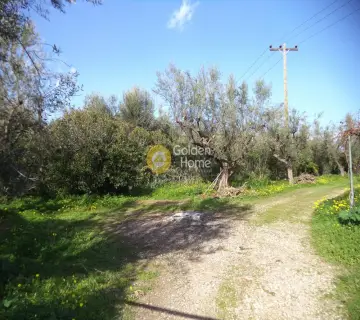 Parcel 3300m<sup>2</sup> for sale photo 3477979