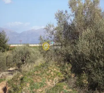 Parcel 4000m<sup>2</sup> for sale photo 3478200
