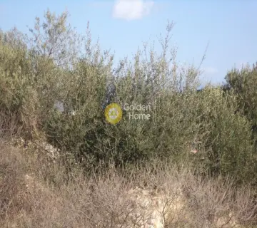 Parcel 4000m<sup>2</sup> for sale photo 3478200