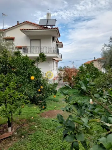 独立复式小屋 200m<sup>2</sup> for sale photo 8